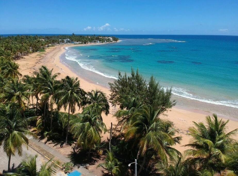 Relaxing Studio Near El Yunque With Pool View Luquillo Luaran gambar